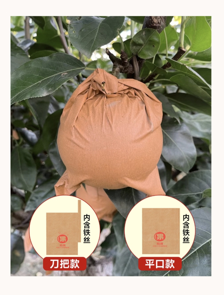 포도, 망고 등의 과일 생육 보호용 크라프트지 라미네이션 봉투 제조기 (분당 300개)