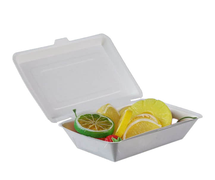 일회용 용기 및 트레이 생산을 위한 최고의 종이 테이크아웃 음식 상자 제조기 5가지