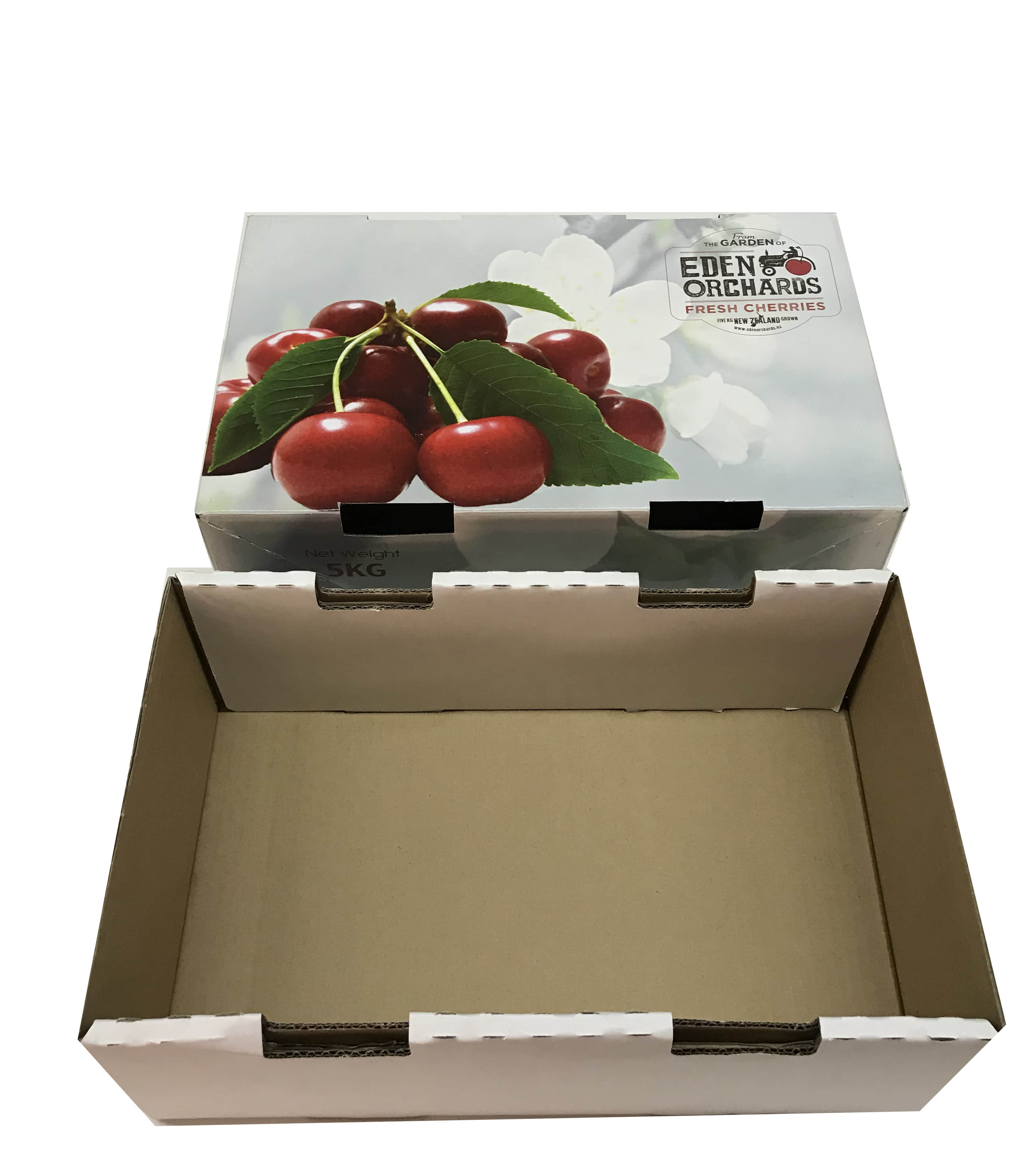 과일 및 채소 상자 접기 및 성형을 위한 자동 종이 과일 상자 제조기